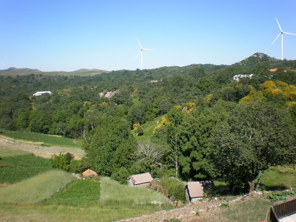 Gralheira  Casas De Montanha Da Gralheira 빌라 객실 사진