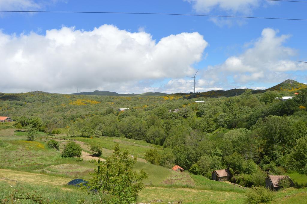 Gralheira  Casas De Montanha Da Gralheira 빌라 외부 사진
